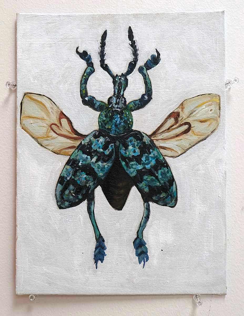 KBH_P_2023_BugParty by Kyrene Haynes  Image: "Bug Party"