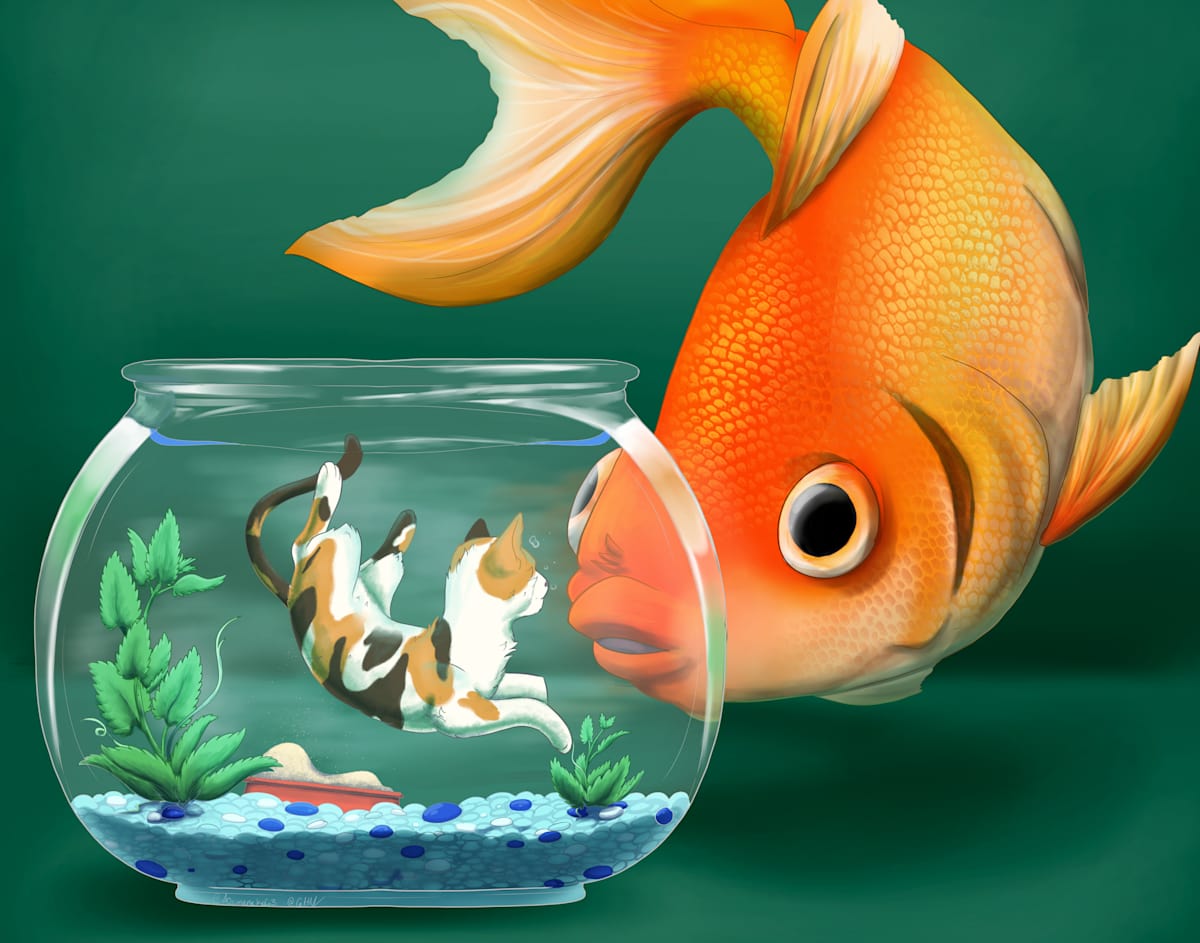 Fish Bowl by Cat M. V. 