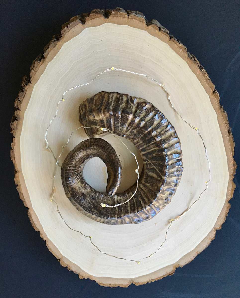Pan's Horn by Kate Seckar 