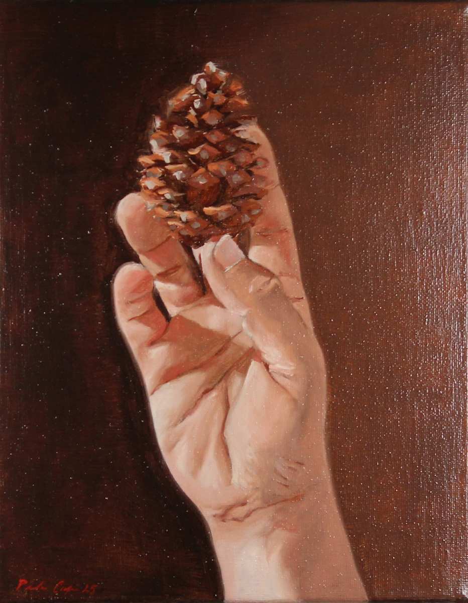 Pinecone by Pedro David Cufre 