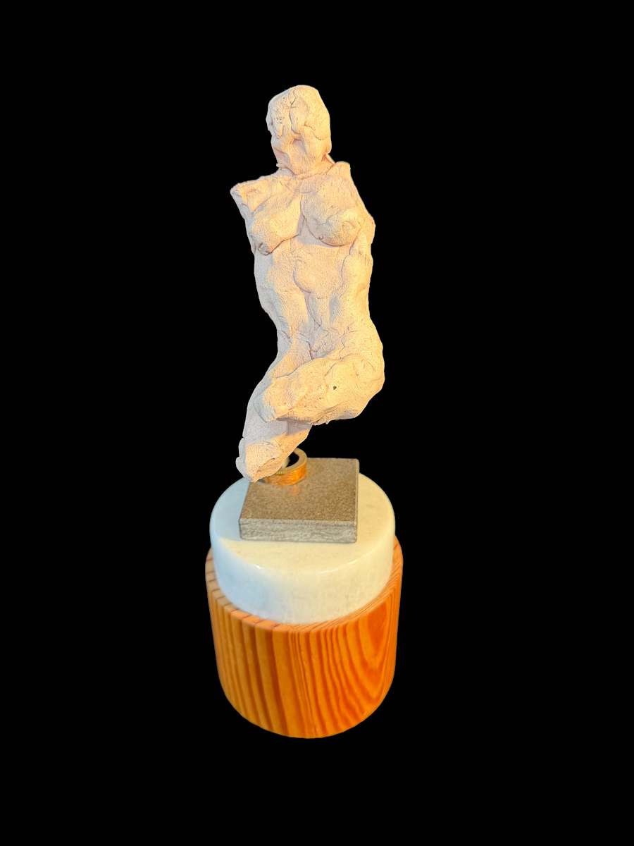 SUPPORTED TORSO by joseph a. henseler, Image 1.