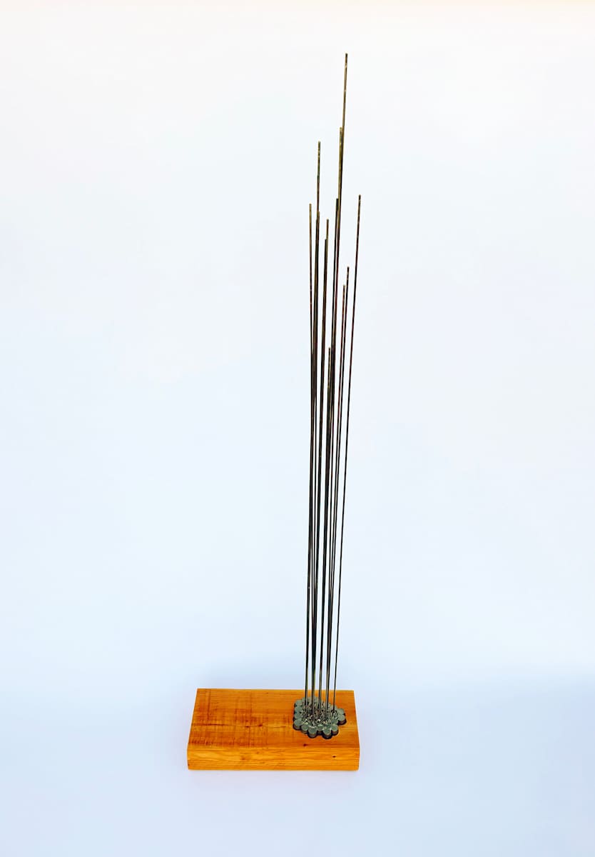 ASPIRING RODS by joseph a. henseler, Image 1.