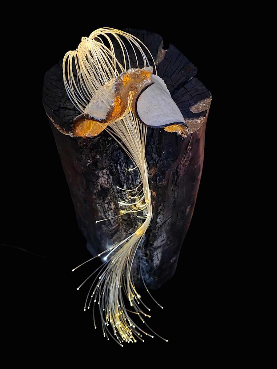 LIGHTFALL by joseph a. henseler, Image 1.