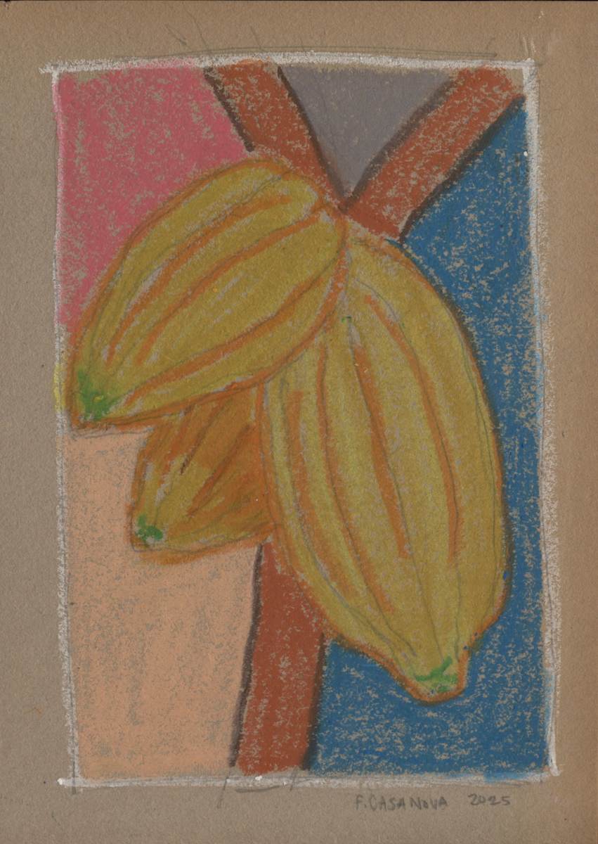 Cacao Bean #2 by Nova Dream Space 