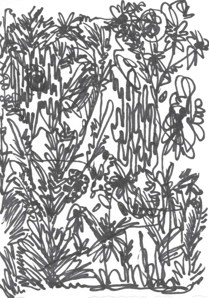 Monday Flowers by Nova Dream Space, Image 1.