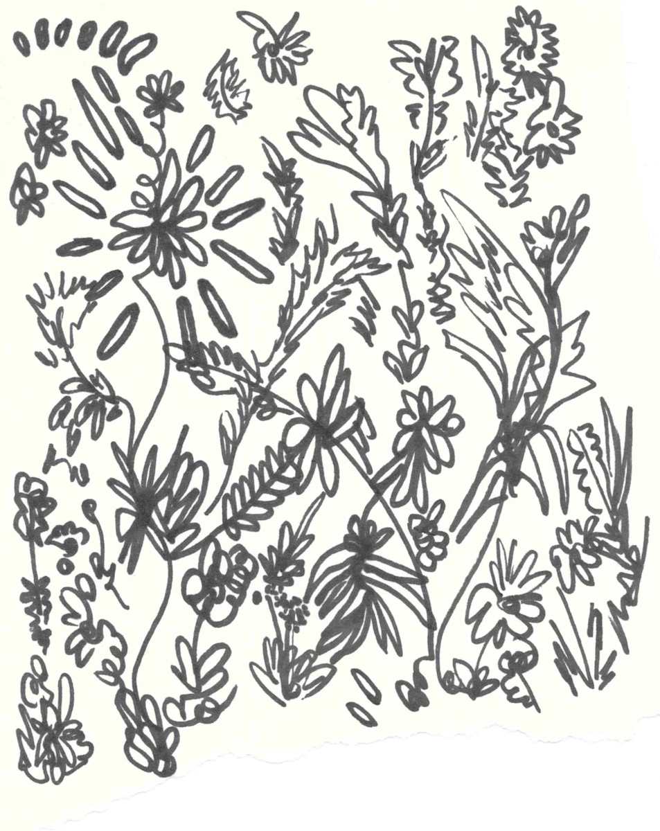 Flores para el martes by Nova Dream Space 
