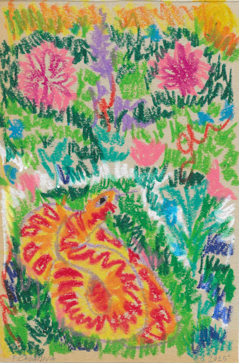 Snake Sunbathing in the Grass by Nova Dream Space 
