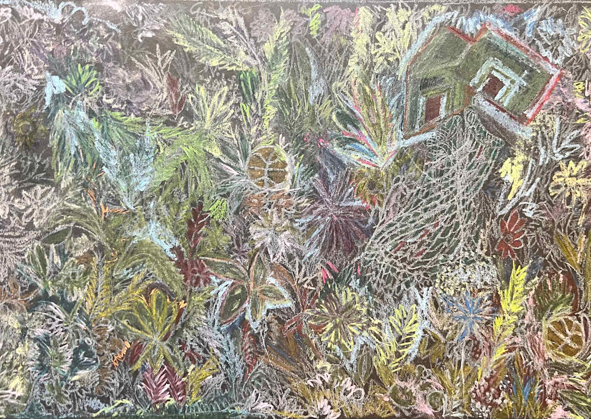 Jungle Basketball by Nova Dream Space, Image 1.