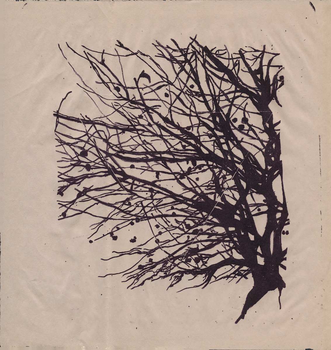 Fall Tree by Nova Dream Space 
