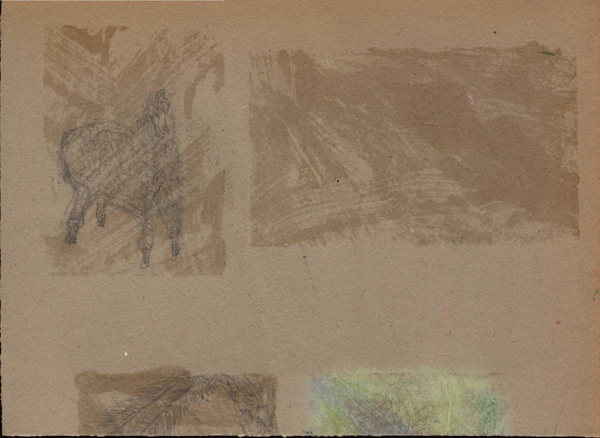 Sheep of paper sketch by Nova Dream Space 