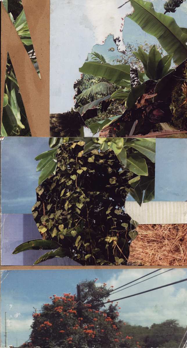 Vieques by Nova Dream Space 