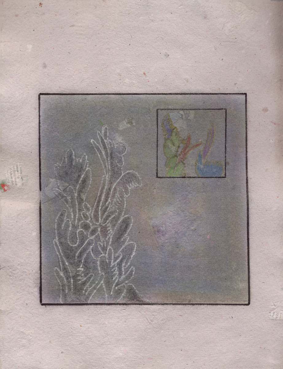 Two plants Drawing by Nova Dream Space 