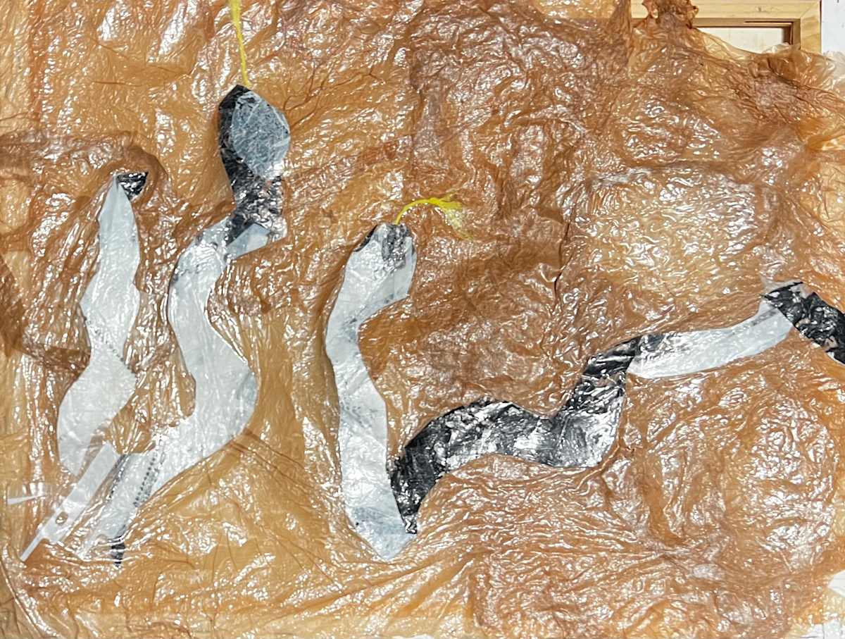 Dancing Snakes by Nova Dream Space, Image 1.