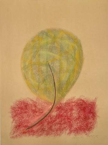 Onion III by Kjeld Tidemand-Johannessen  Image: Charcoal on paper drawing titled "Onion III" 1975