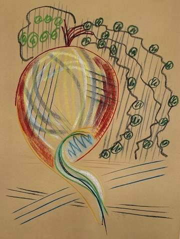 Onion IV by Kjeld Tidemand-Johannessen  Image: Charcoal on paper drawing titled "Onion IV" 1975