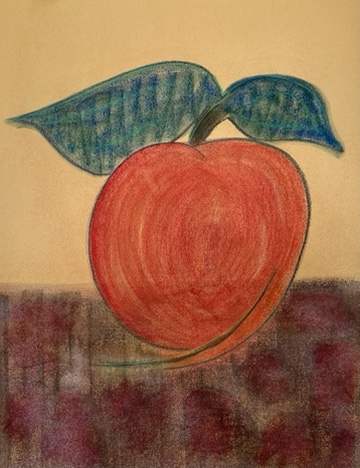 Seeds growth  Image: Charcoal on paper drawing 1975