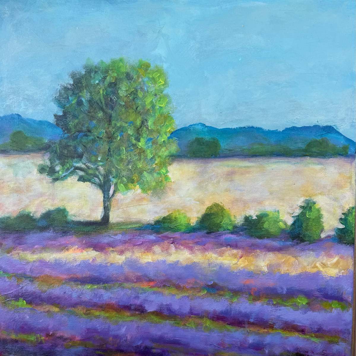 Lavender Field by Cyndy Hinkelman-Smith 