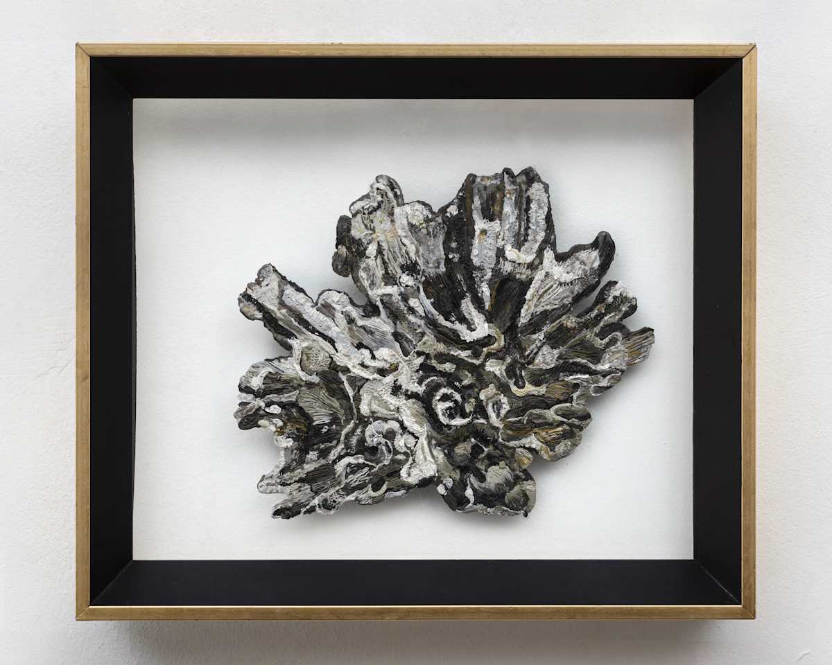 Coral by Ingrid Elizabeth Lauw Peña, Image 10.