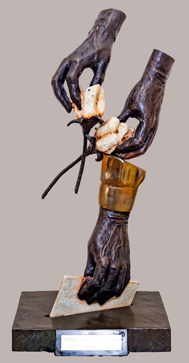 Hands That Picked Cotton by Ed Dwight 