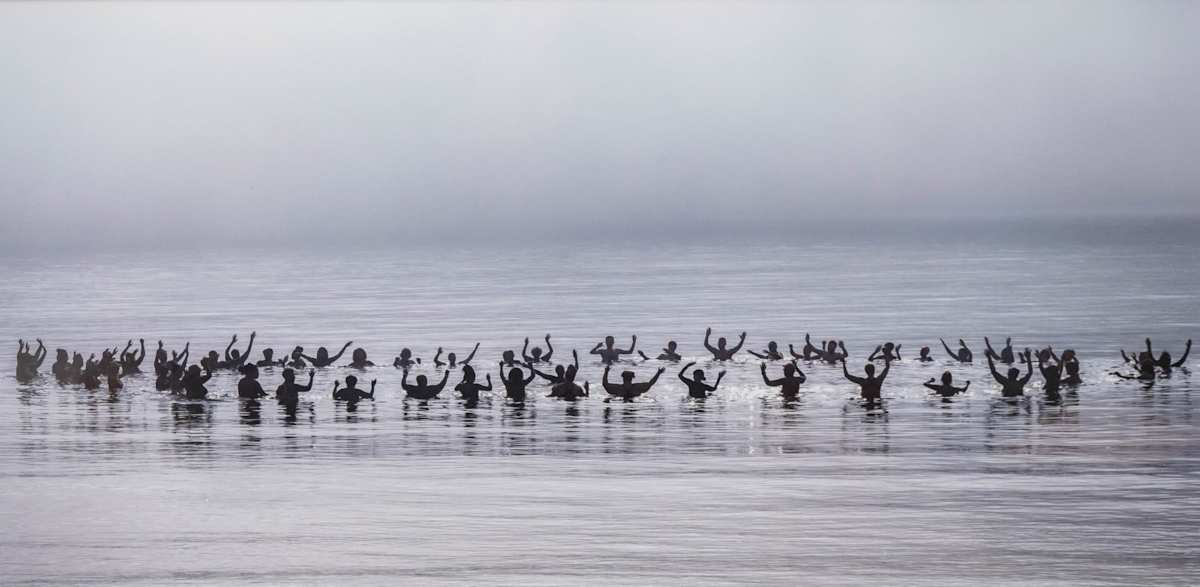 Inkwell Beach "Polar Bears" by Michael Blanchard 