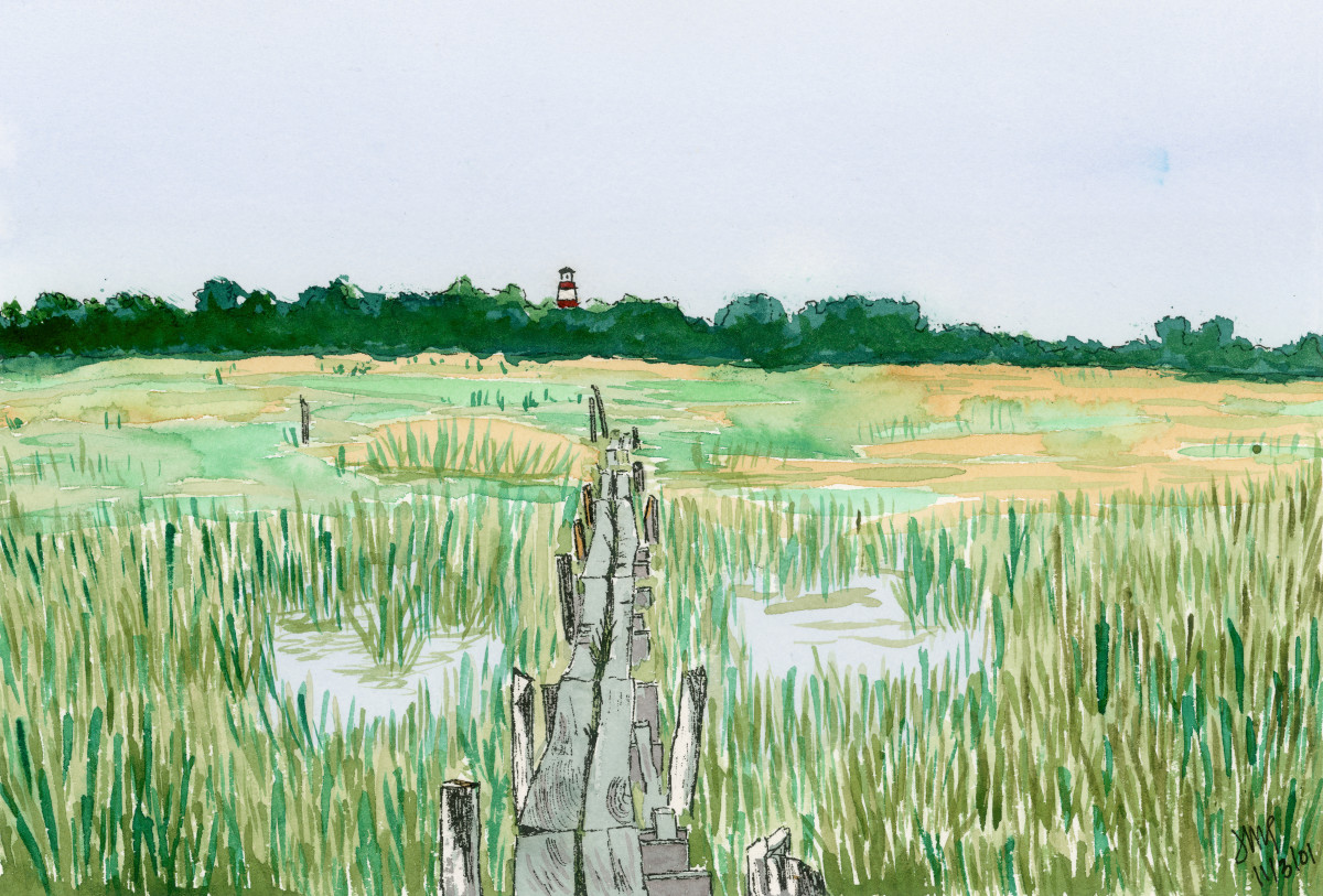 Through the Marsh by Jacque Thompson 