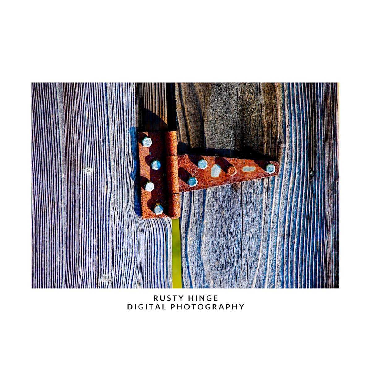 RUSTY HINGE by DeeDee Daniel 