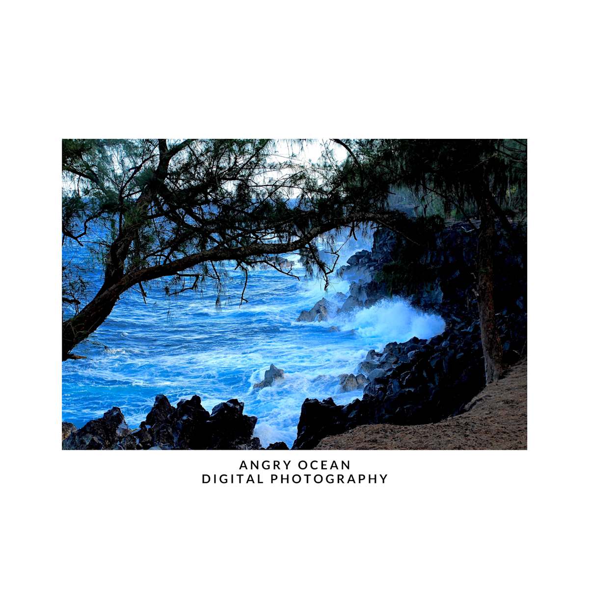 ANGRY OCEAN by DeeDee Daniel 