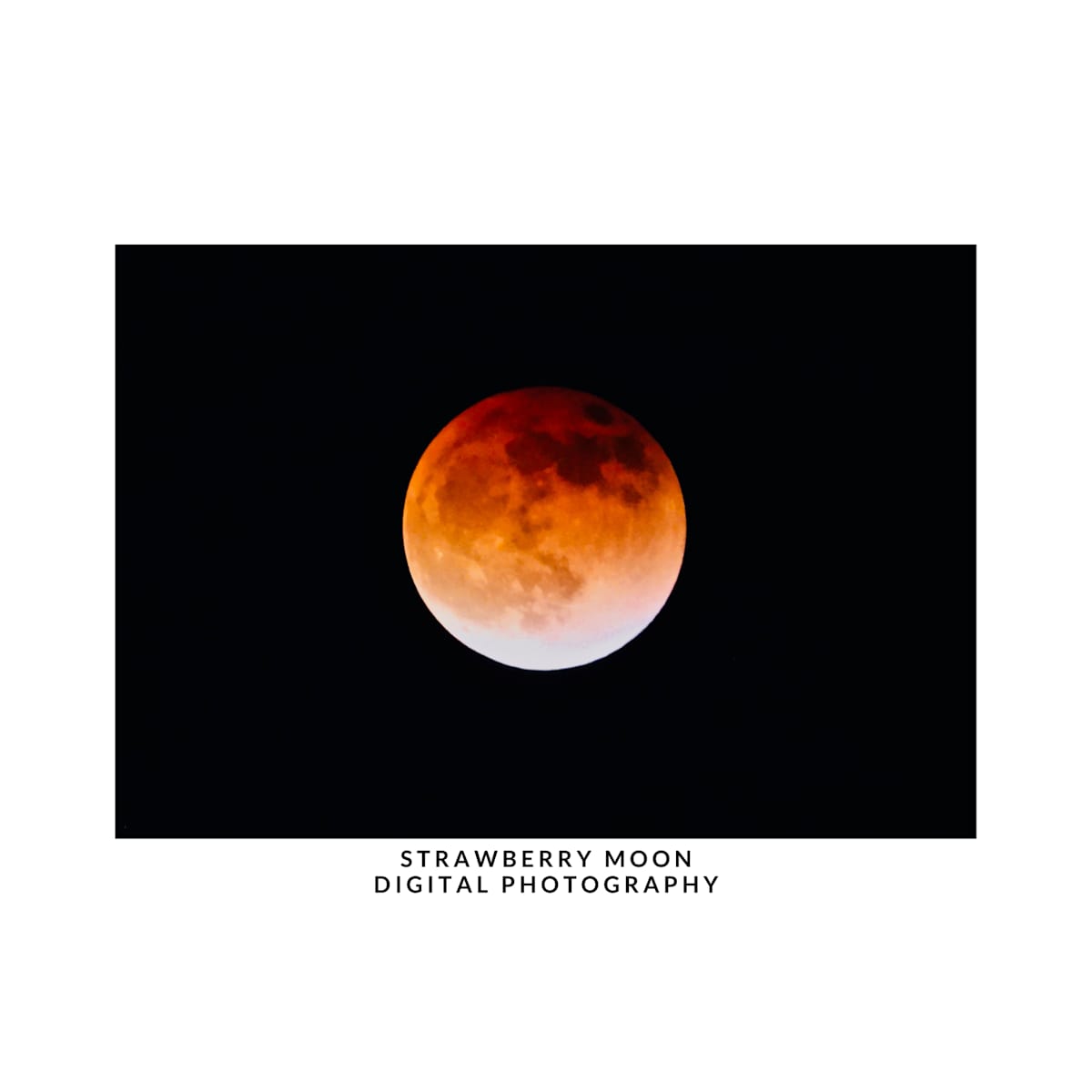 STRAWBERRY MOON by DeeDee Daniel 