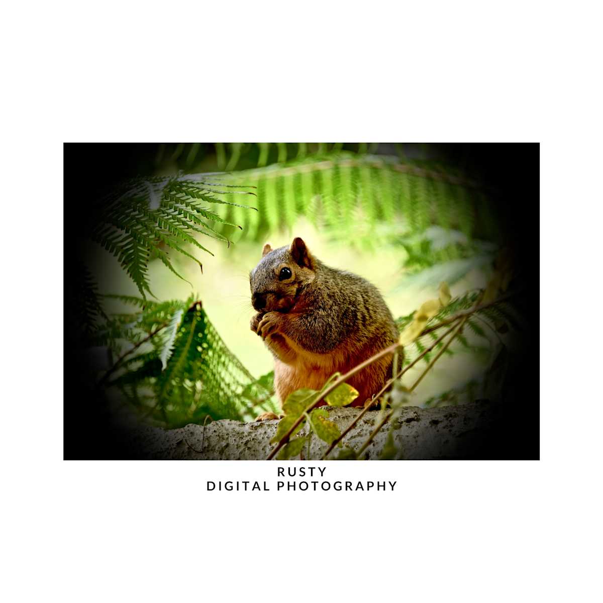 RUSTY by DeeDee Daniel, Image 12.