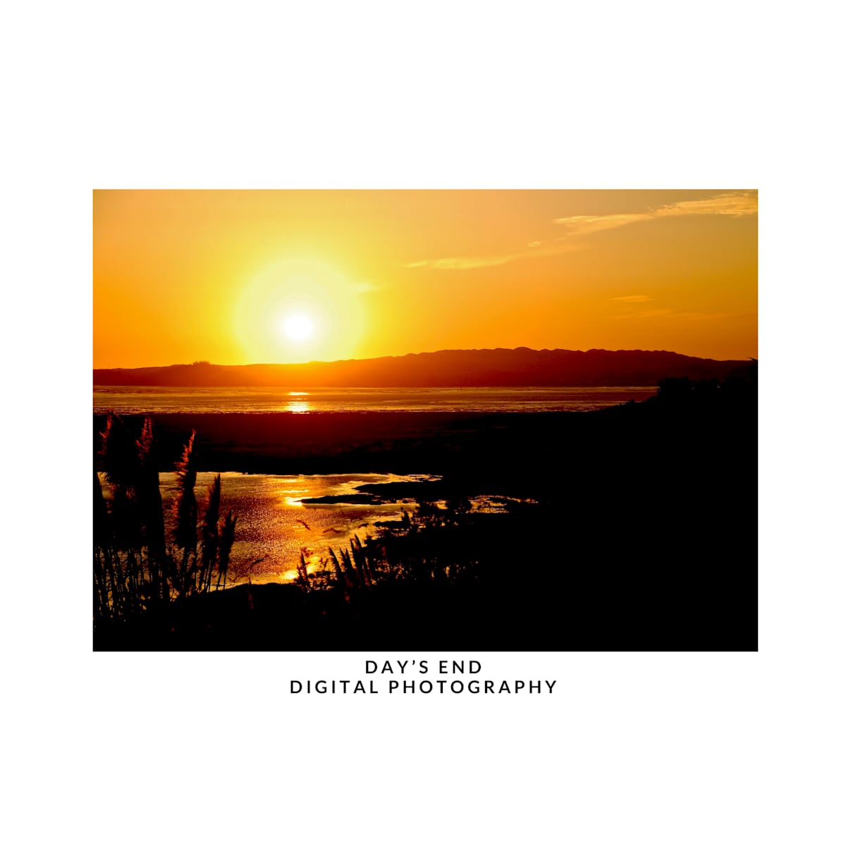 DAY'S END by DeeDee Daniel 