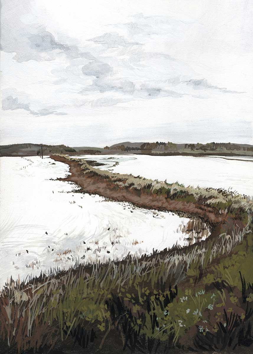 View From  the Train: Cattawade Marshes by Glynnis Baker, Image 2.
