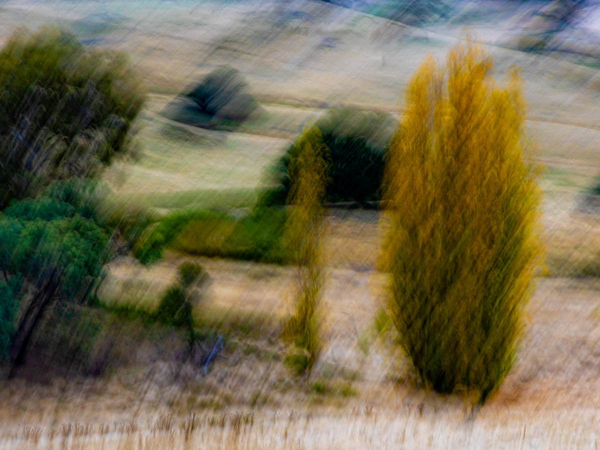 Bothwell Moment #2 by David Pyefinch 