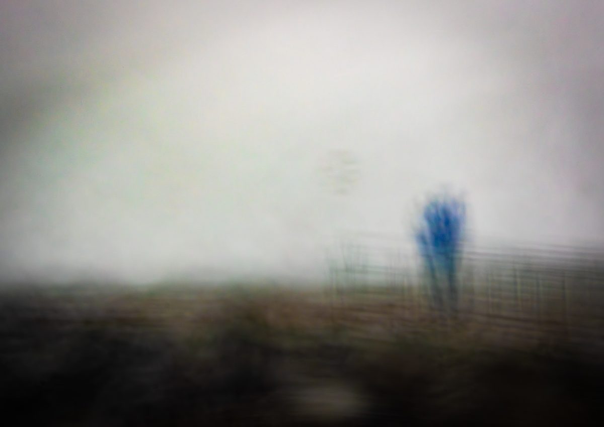 Distant Being Found by David Pyefinch, Image 1.