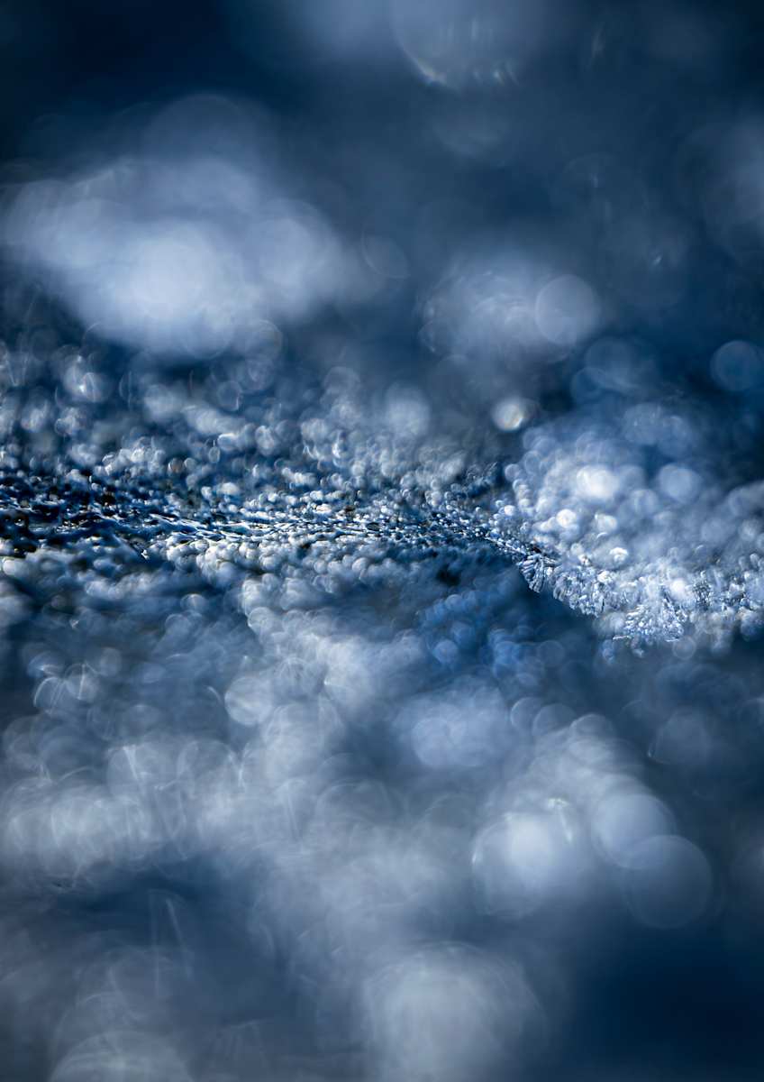 Surface Tension (Vertical) by David Pyefinch 