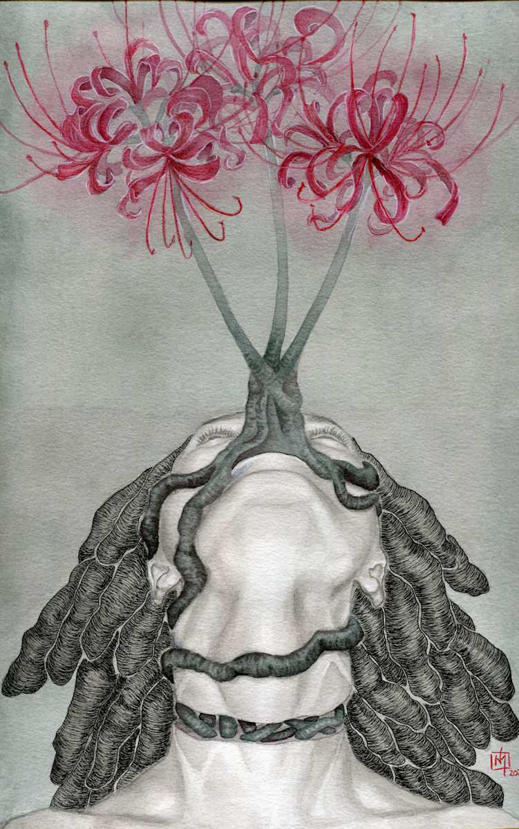 Transition by Ash D Williams 