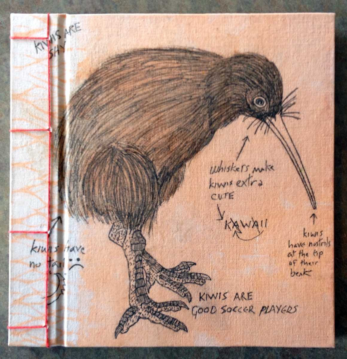 Journal Trio by Kristin Ziegler  Image: Kiwi front