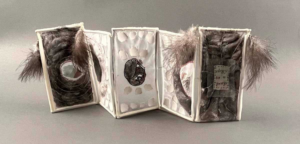 Elegy To a Peep by Kristin Ziegler 