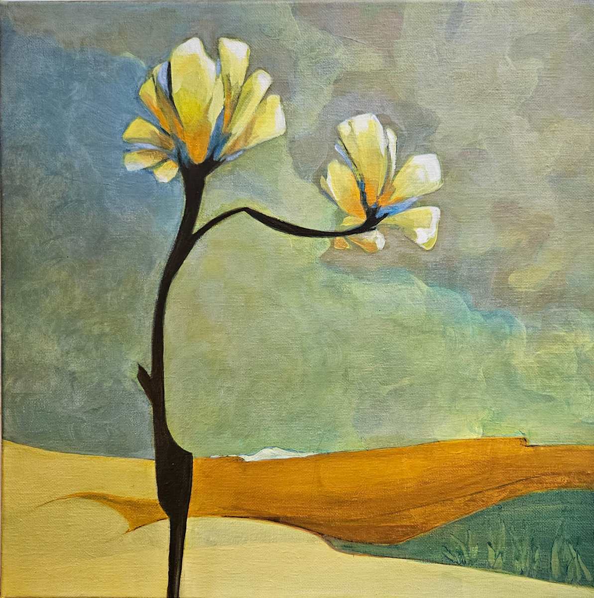 Room to Grow by Karin Lawler  Image: Desert Landscapes bloom in sudden and unexpected ways to inspire and delight.