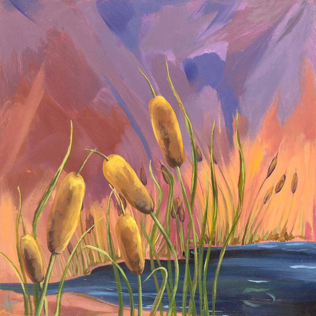 Cattails on the Pond by Sam Hauser 
