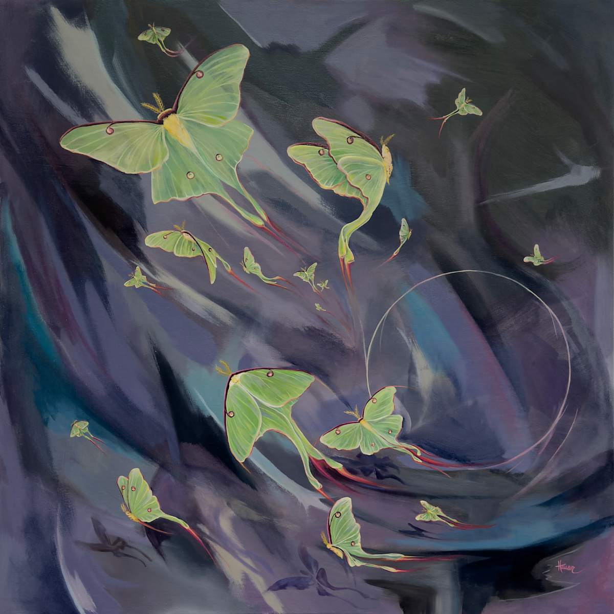Flight of the Luna Moth by Sam Hauser 