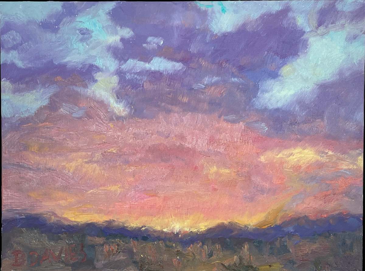 Night Sky (framed) by Barbara Davies 