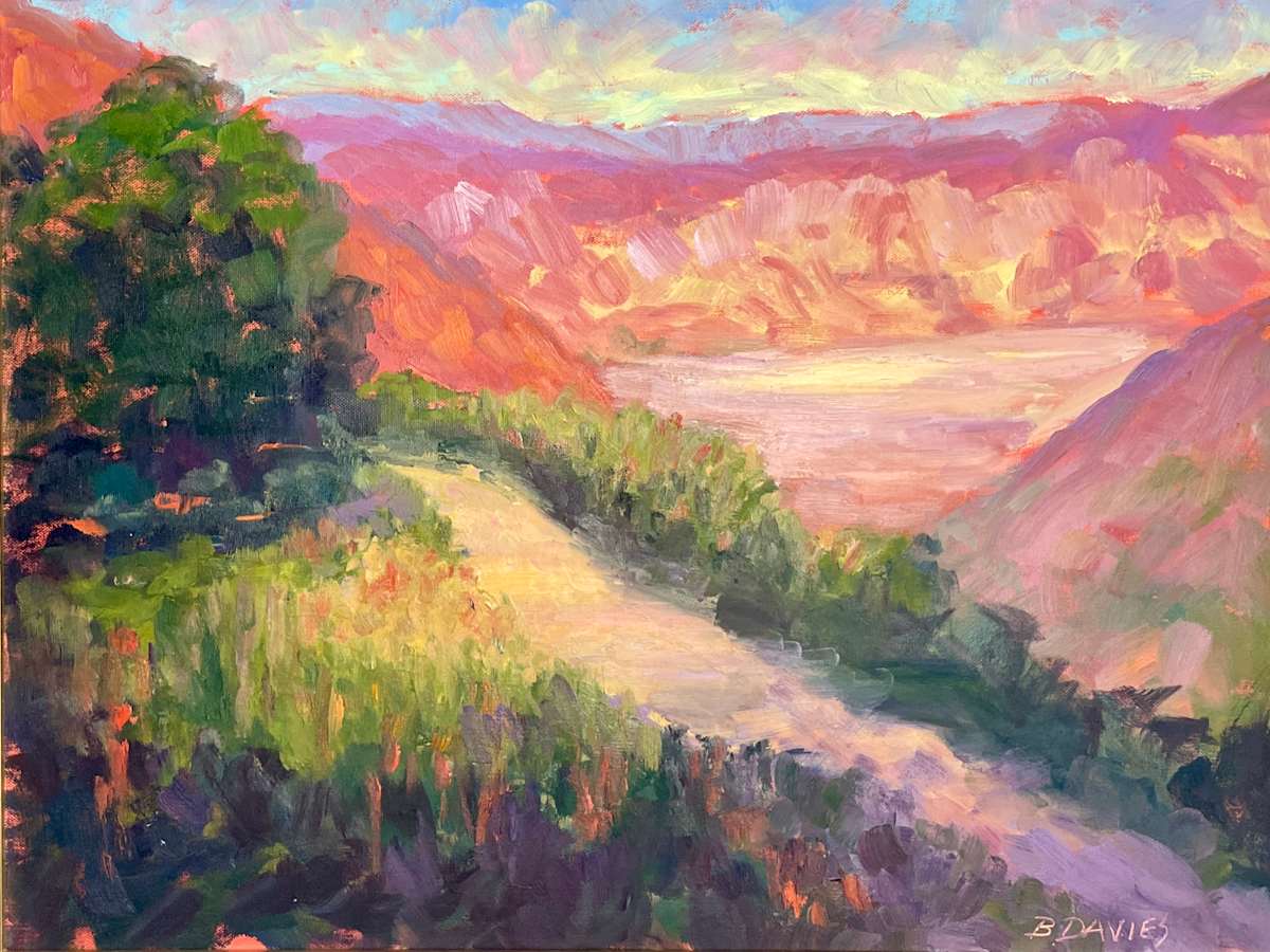 Desert Valley (framed) by Barbara Davies 