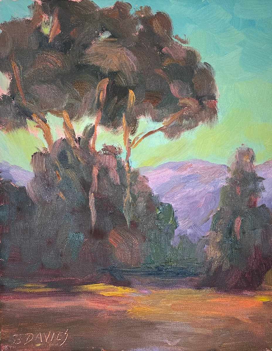 Eucalyptus Trail (framed) by Barbara Davies 