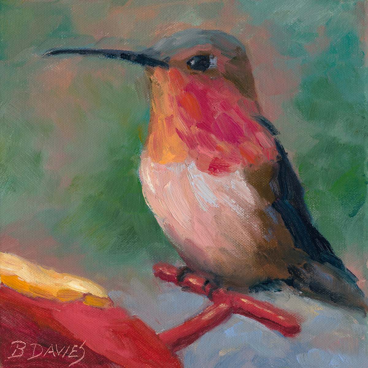 Hummingbird (framed) by Barbara Davies, Image 1.