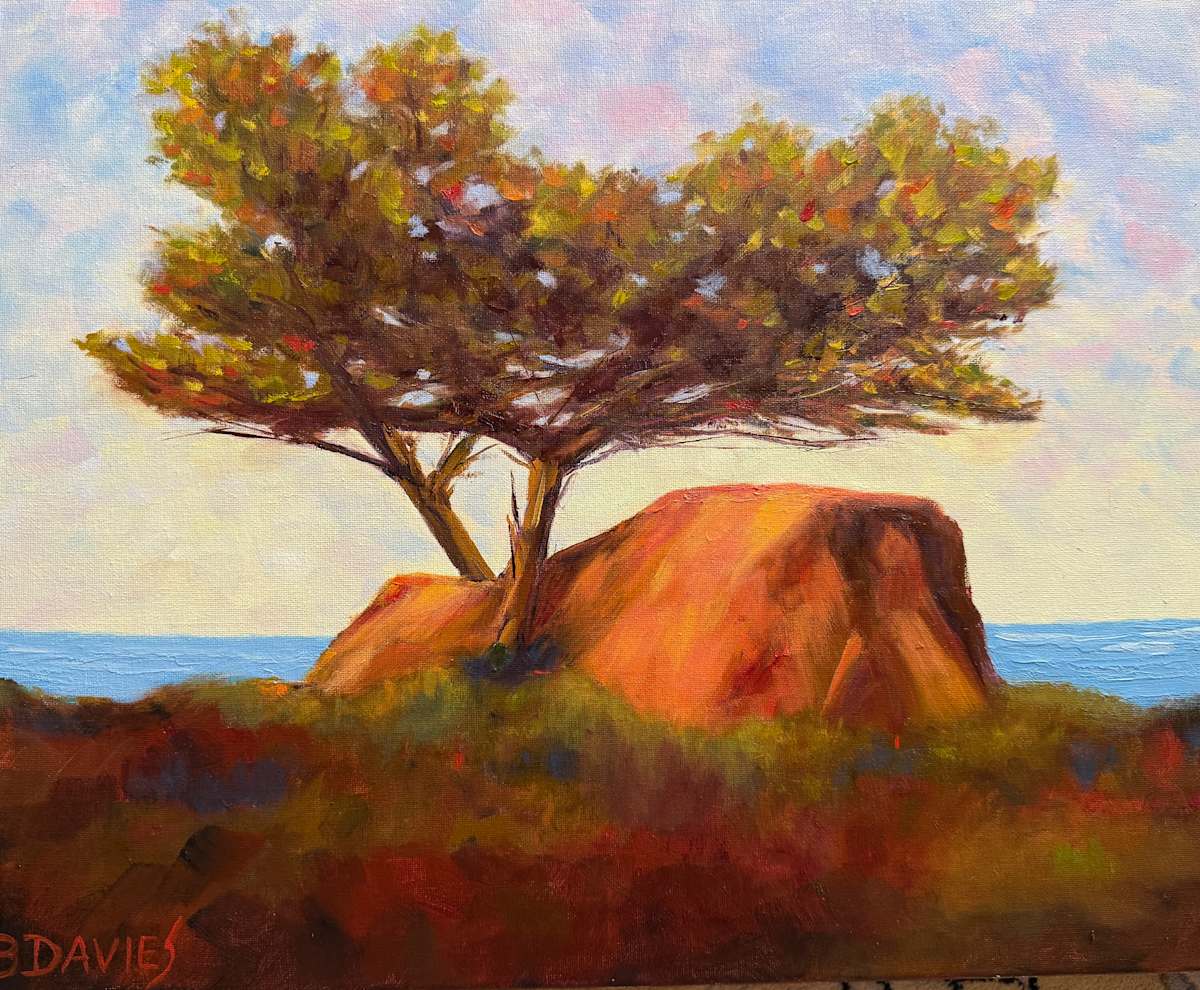 Torrey Pine (framed) by Barbara Davies, Image 1.