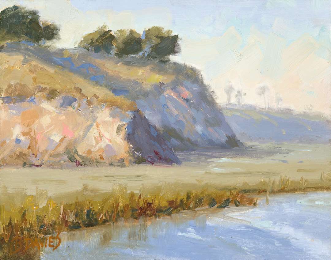 Laguna Cliffs by Barbara Davies 