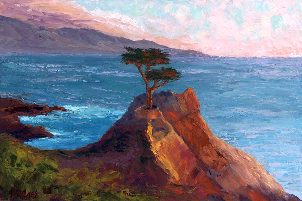 Lone Cypress by Barbara Davies, Image 1.
