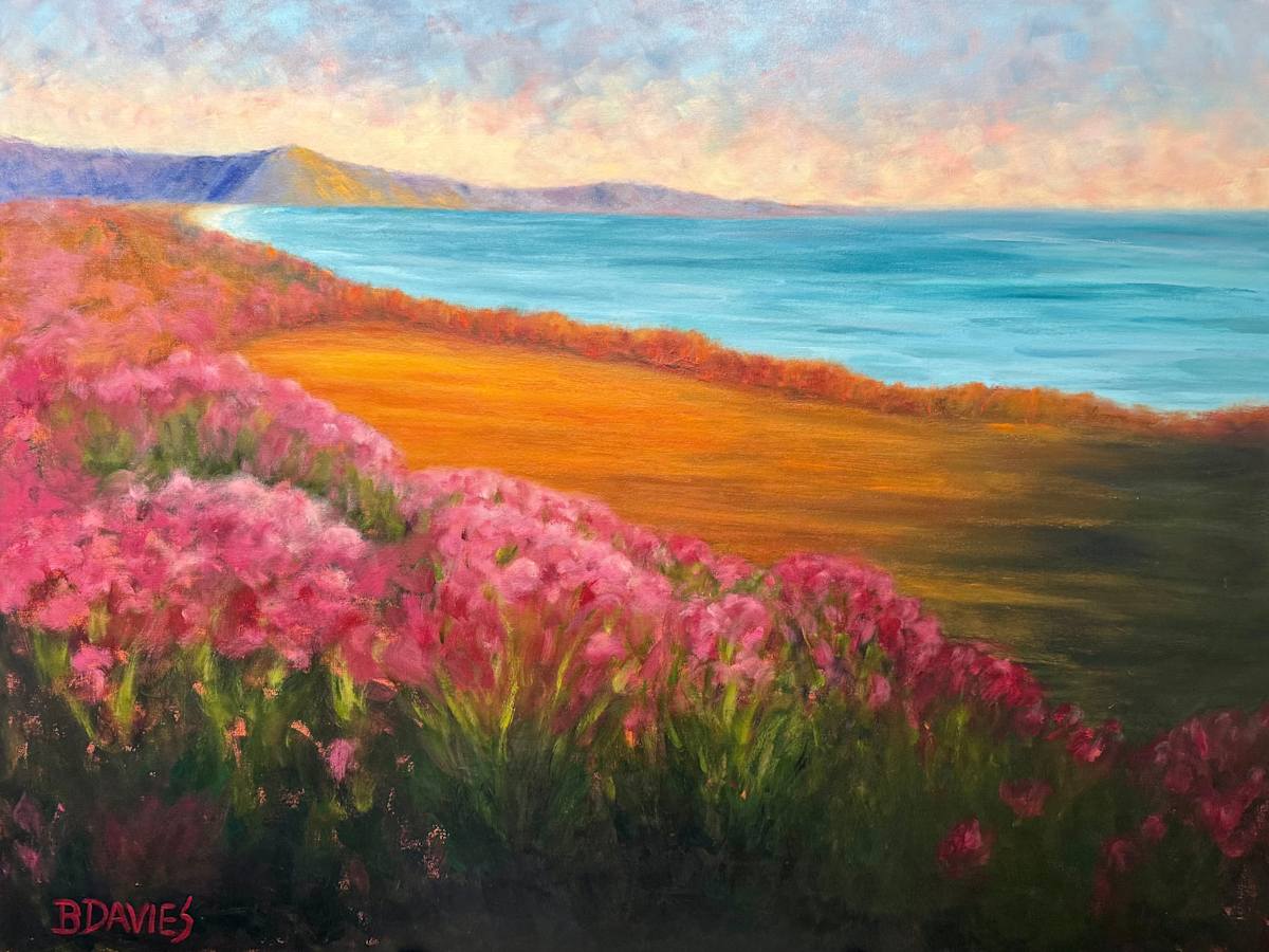 Sunlit Cliffs (unframed) by Barbara Davies, Image 1.