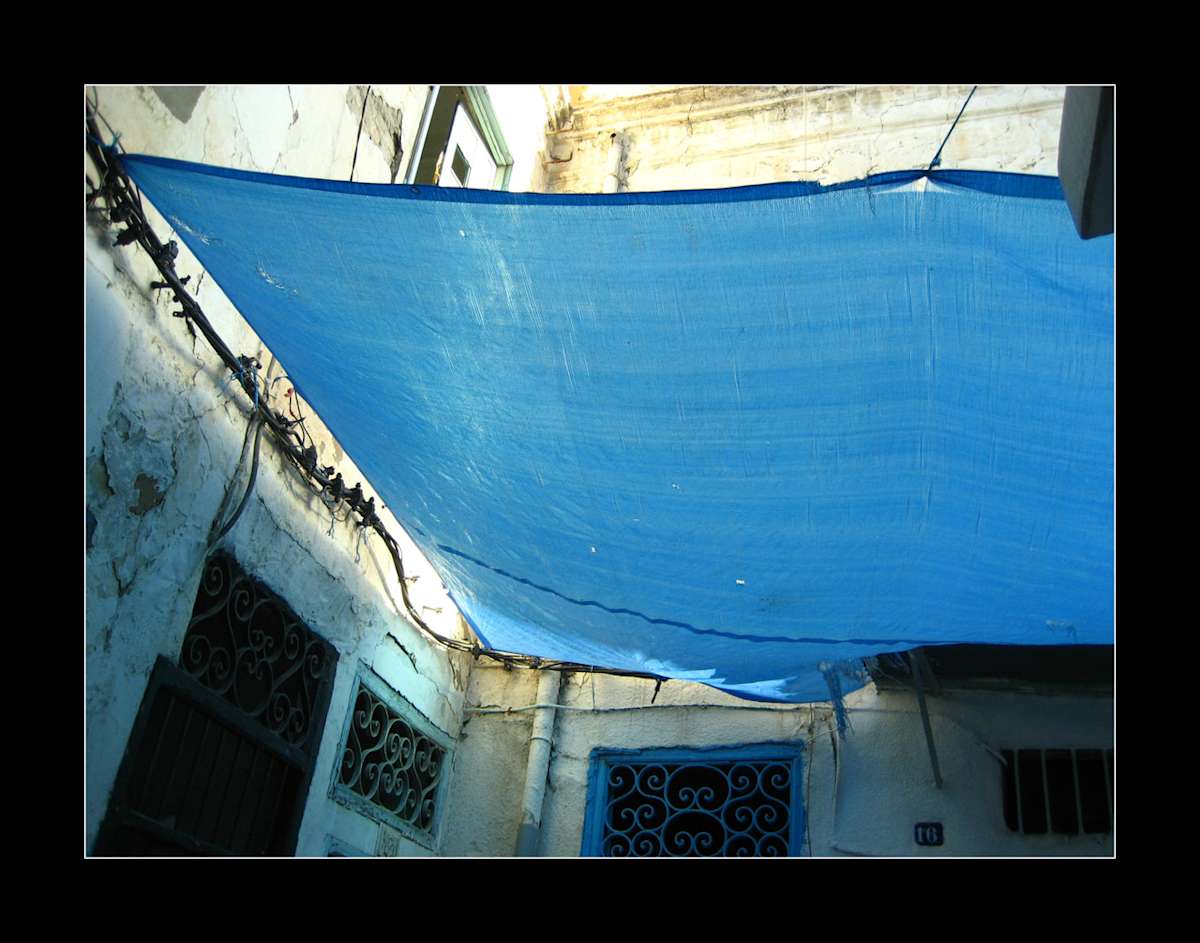 Tarp by Ngoc-Tran Vu 