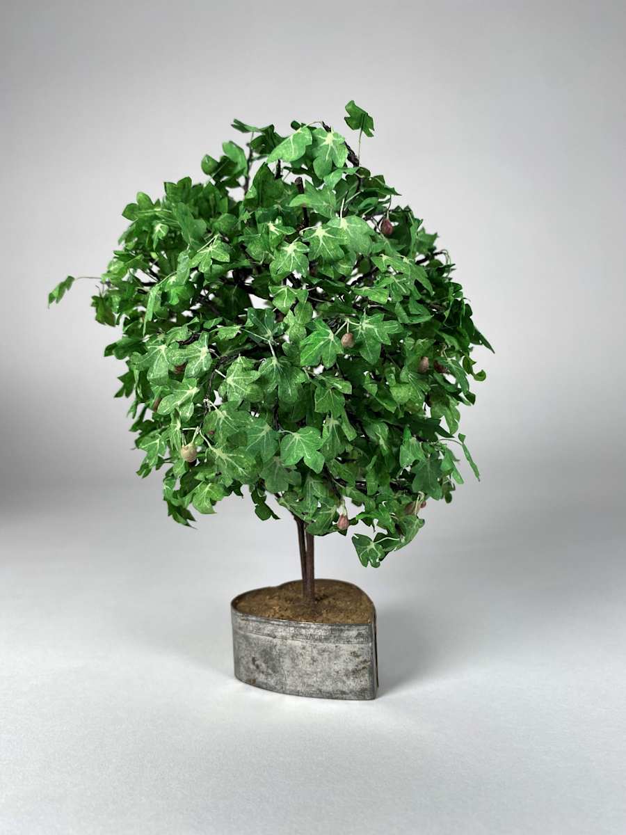 Fig Tree by Joanne Steinhardt, Image 5.